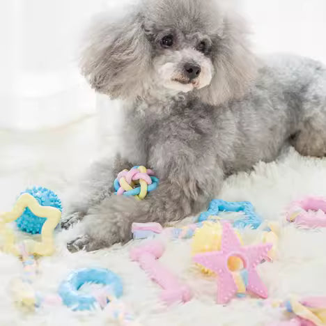 Dog teething toys image 0