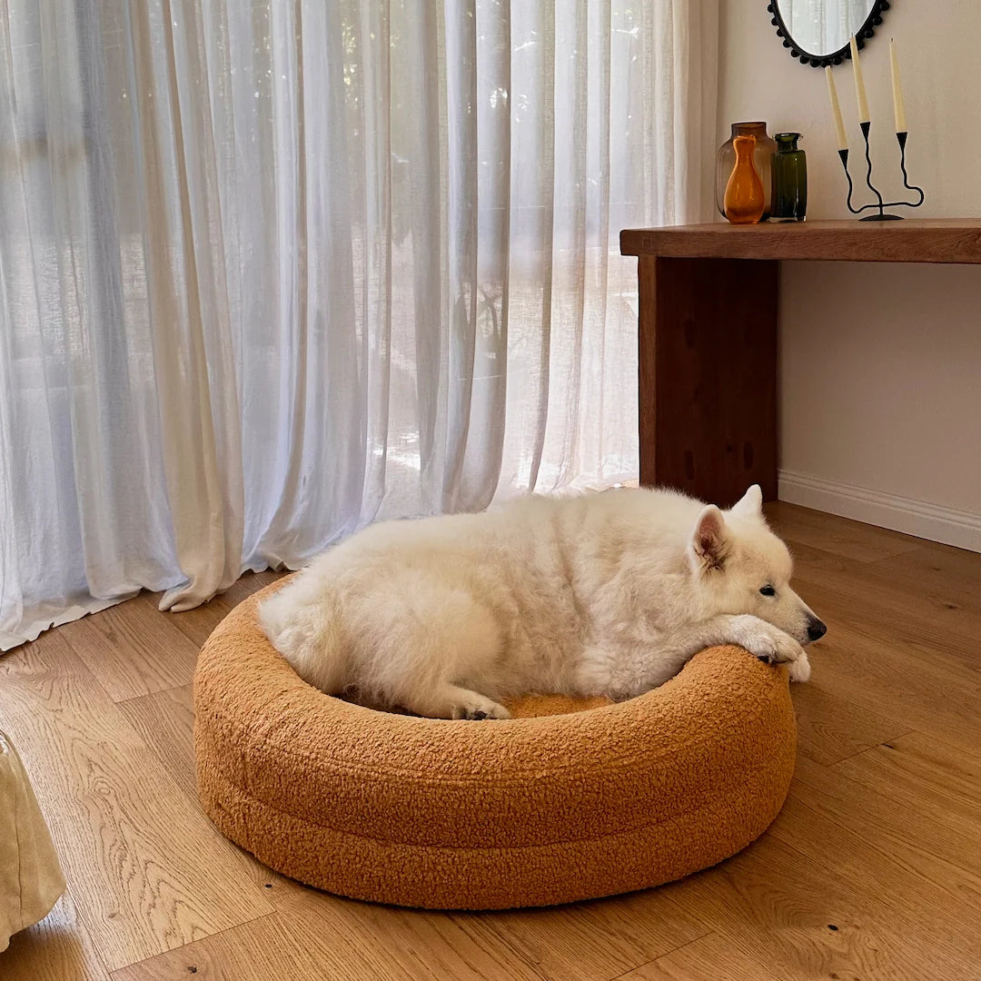 Dogs Bed Brown Round image 2