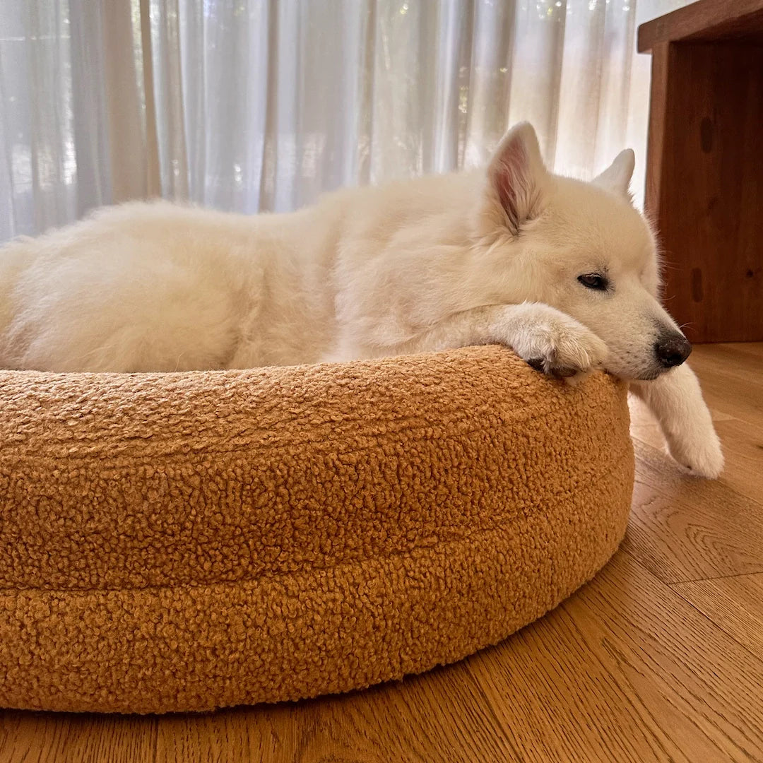 Dogs Bed Brown Round image 1